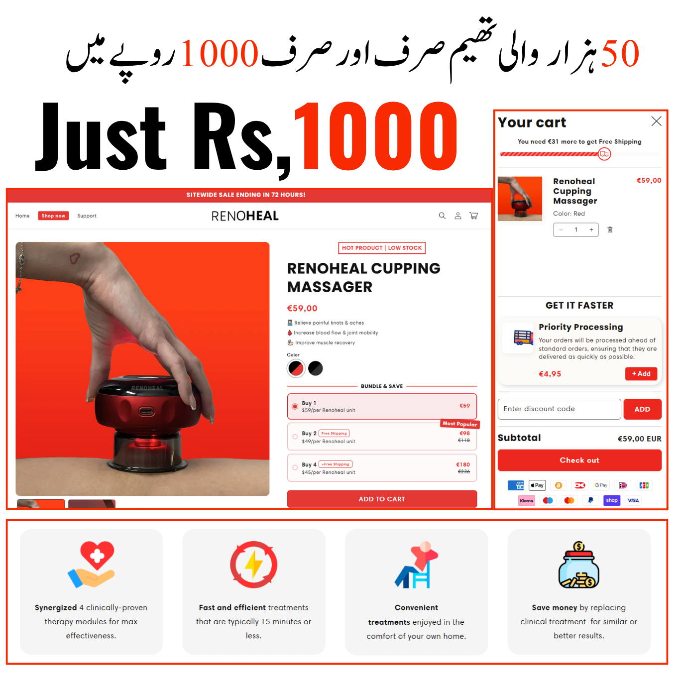 Get a 50,000 PKR premium theme for only 1,000 PKR – fully customized