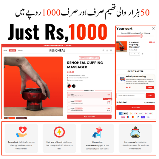 Get a 50,000 PKR premium theme for only 1,000 PKR – fully customized